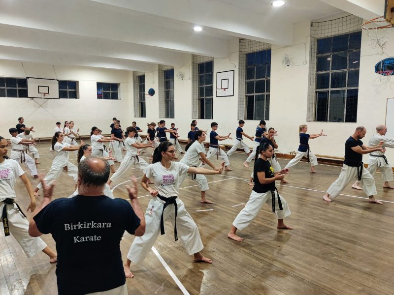 Advanced Level Kata Workshop, August 2024 - Zammit Karate
